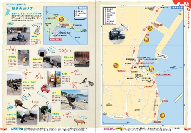 ネコとの出合いポイントとおすすめさんぽコースも紹介