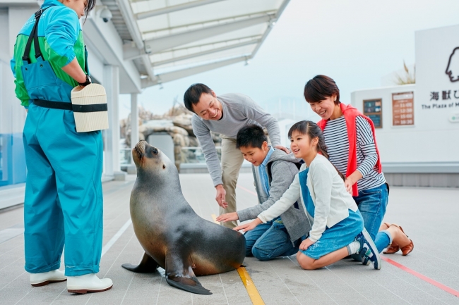 動物とのふれあい