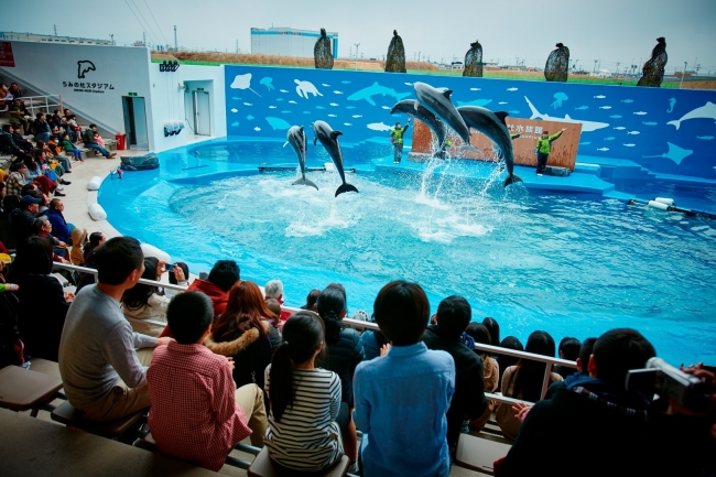 海の動物たちにバードも加わった東北最大級のパフォーマンス