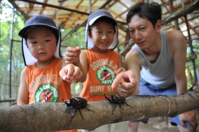 カブトムシ採り（イメージ）