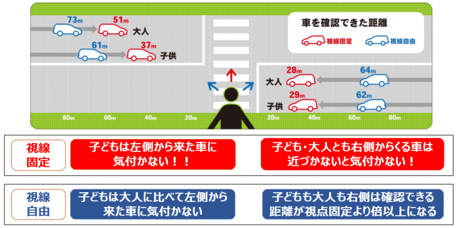 横断歩道での視野