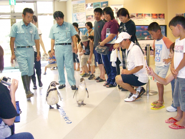 おさんぽ「ペンギン」