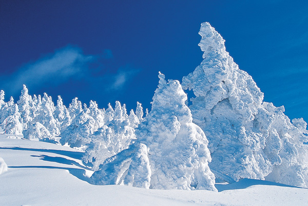 森吉山の樹氷