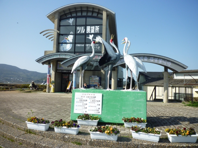 鹿児島　ツル観察センター（イメージ）