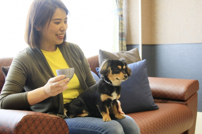 愛犬とお部屋で過ごせる