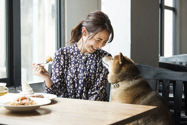 愛犬と食事イメージ