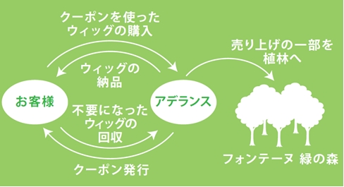 「フォンテーヌ緑の森キャンペーン」の流れ