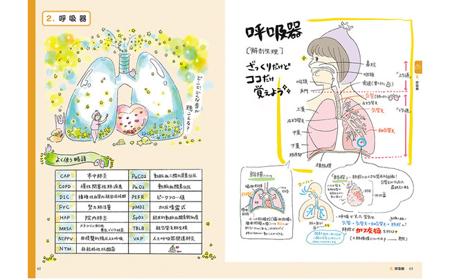 各病棟でよく使う略語＆「ここだけおさえる解剖生理」を掲載