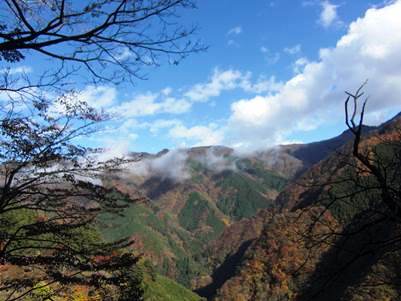 秩父の奥山（写真提供：秩父市）