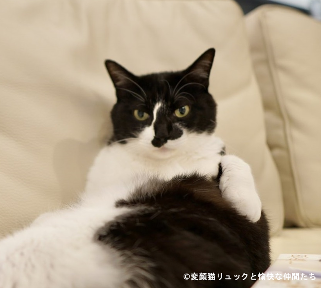 自宅でくつろぐ 響介さんの愛猫リュック