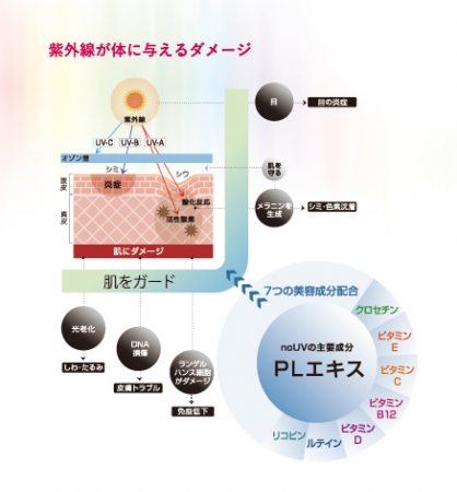 紫外線が体に与えるダメージ図