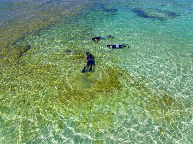 透明度の高い海でスノーケリングを楽しむ