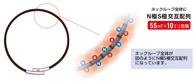 ネックループ全体にN極S極交互配列