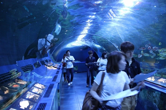 しながわ水族館プレイイメージ