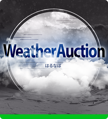 ♪Weather Auction   - はるなば