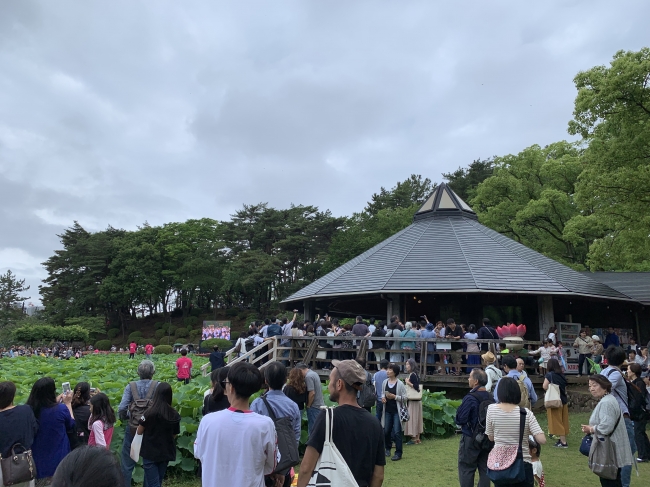 2019年6月に千葉公園で実施されたイベントYohaSの模様