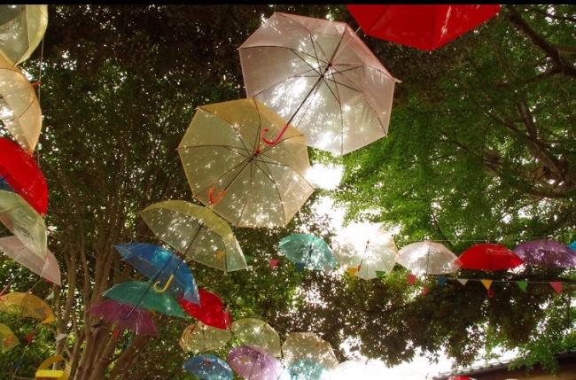 空に広がる傘の森