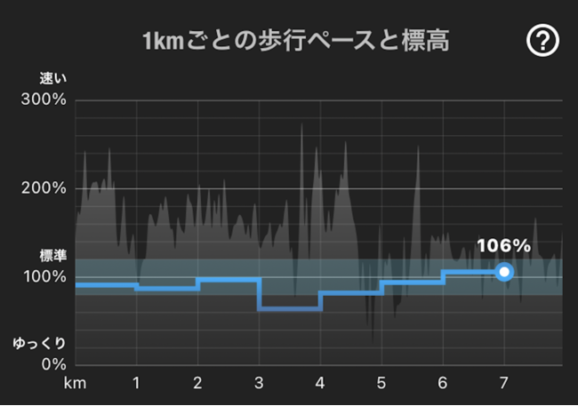 標準ペースとの差を記録