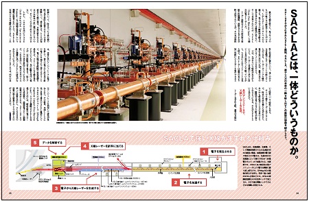 SACLAとは、一体どういうものか。より