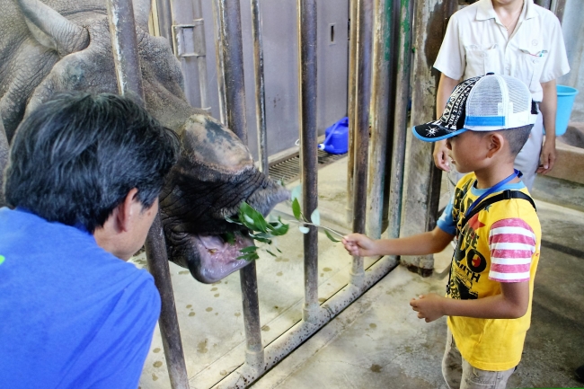 インドサイが餌を食べる様子を観察