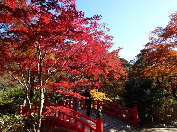 ＜熱海梅園＞