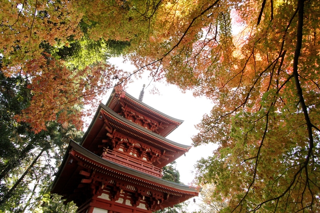 ＜油山寺＞