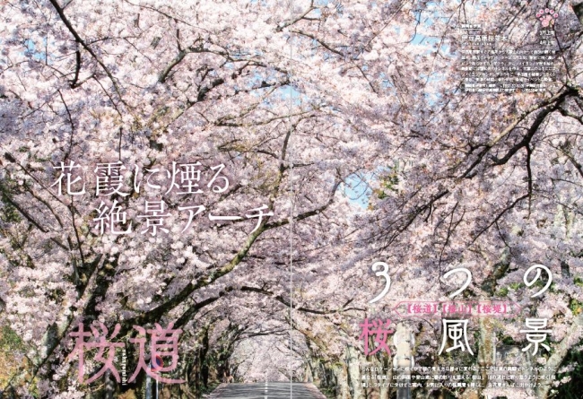 『桜の絶景 首都圏版』（ぴあ）中面