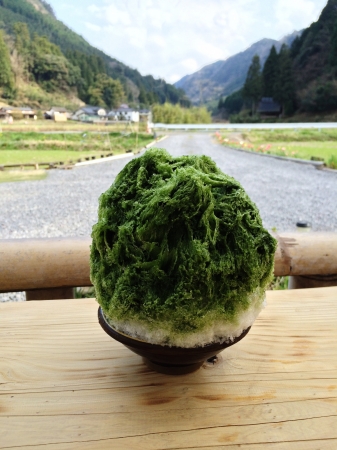 にっぽん氷の図鑑 かき氷ジャーニー 中面F 大分 和・カフェ蛍茶園