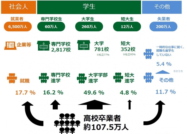 ※文部科学省「学校基本調査」平成29年度速報を参考に加工