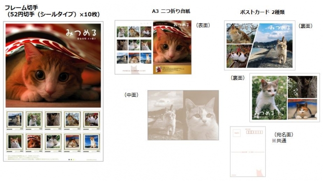 オリジナル フレーム切手セット『「みつめる」～岩合光昭 ネコ便り～』