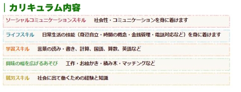 ■ハビープラスカリキュラム内容