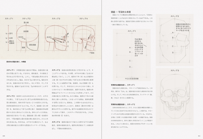 左：図式的な頭蓋を描く、外側面　右：頭蓋 ― 写実的な表現