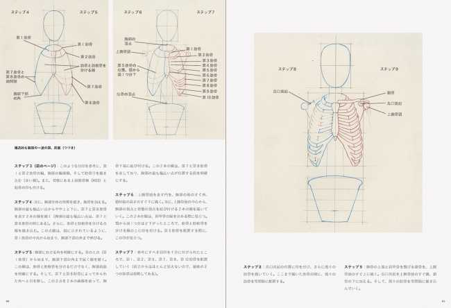 構造的骨格に対する直観的なアプローチ