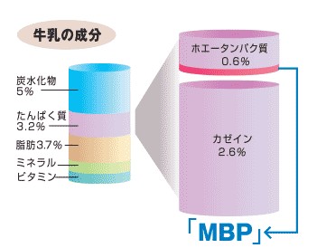 ※「MBP」は牛乳に微量に含まれる機能性タンパク質です。