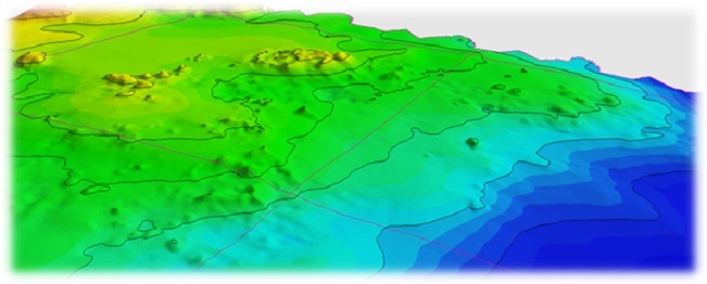 図1　「田名サイト」の3D海底地形イメージ　大小多数の凸地形が群集して分布　（等深線は10m間隔）