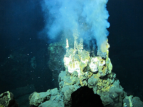 写真1：東青ヶ島鉱床で確認された高温（約260度）の熱水を噴出するマウンド