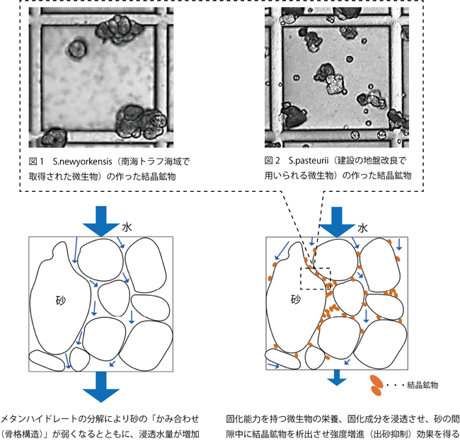 新技術の概念図