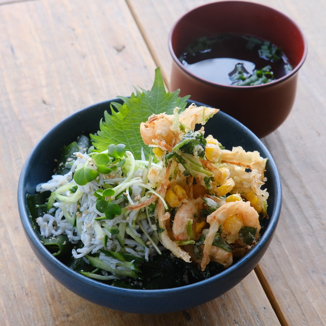 小エビのかき揚げと釜揚げしらすの丼