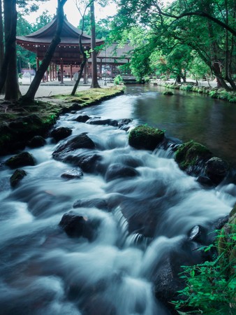 水野克比古　上賀茂神社 ならの小川　2014年 ©水野克比古