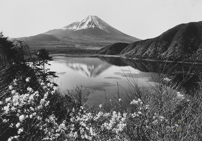 「湖畔の春」撮影：岡田紅陽 収蔵：岡田紅陽写真美術館