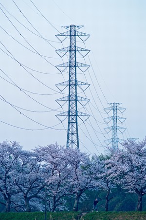 花曇りの散歩道 (埼玉県)