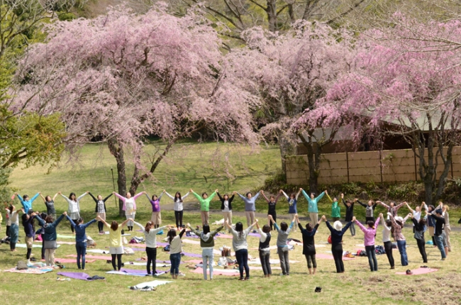 ～昨年の第一回開校記念授業の模様～ 今年も桜の下でヨガやお茶会を実施します