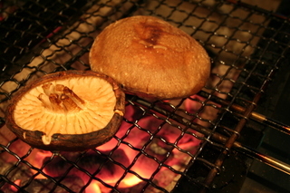 網焼きがおすすめ！