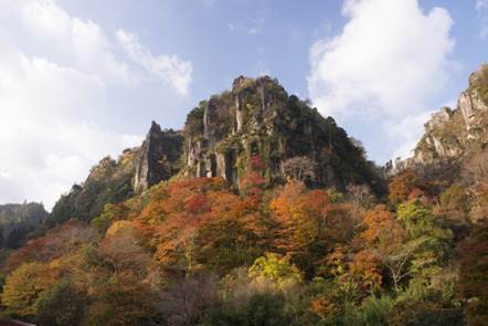 一目八景