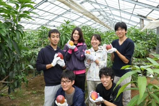 学生の農場実習の様子