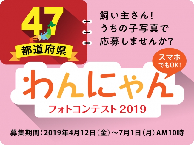 47都道府県わんにゃんフォトコンテスト2019