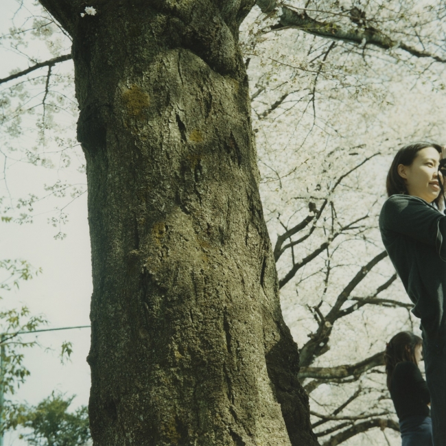 原美樹子《Untitled》2009年