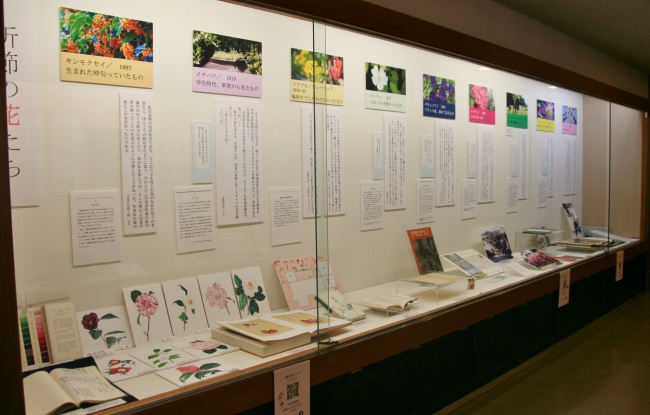 「花と語らう－大佛次郎の花ごよみ」展