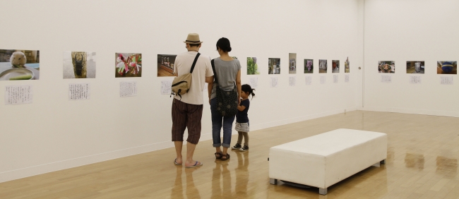 昨年度の展示の様子