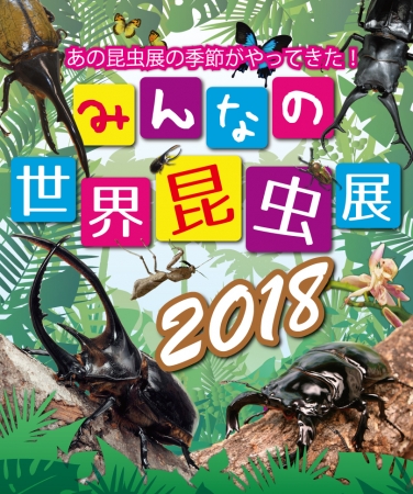 みんなの世界昆虫展2018イメージ